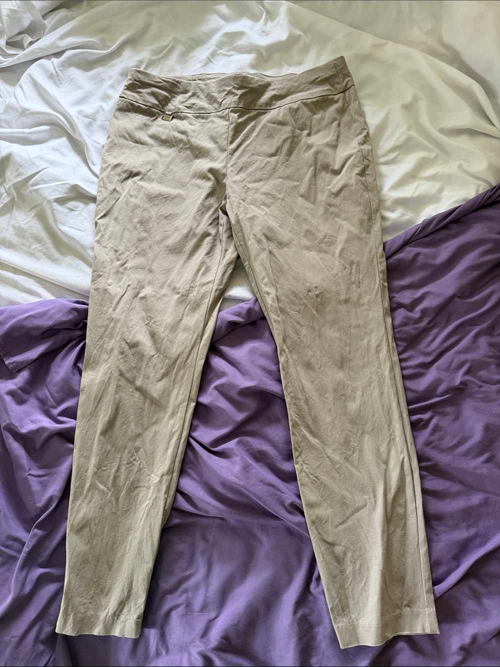 Alfani Beige/Tan Slim Ankle Pants